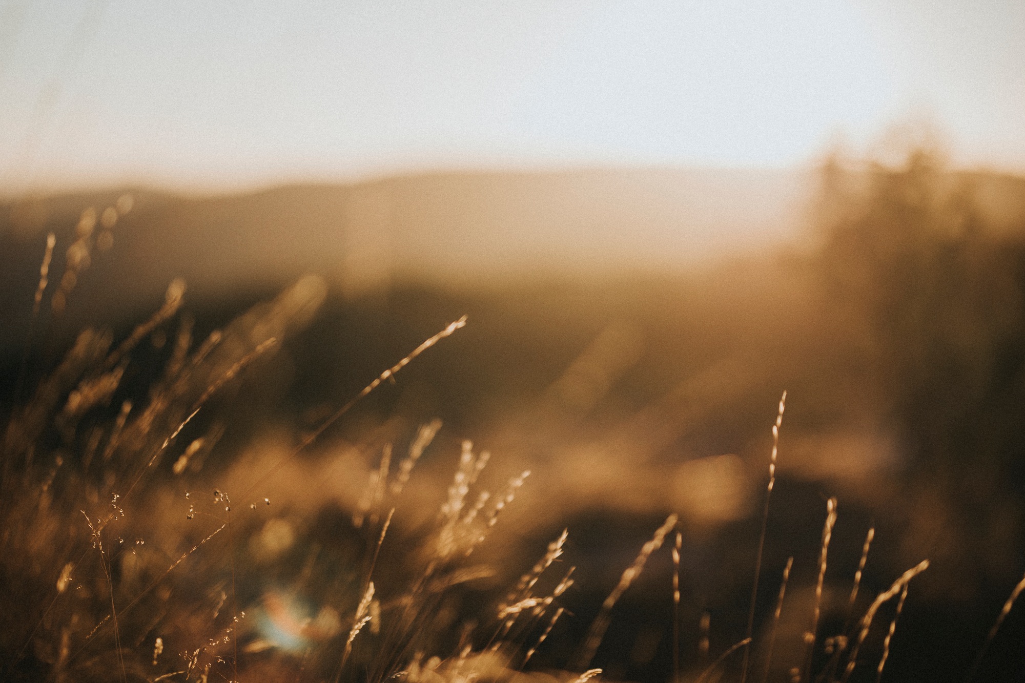 Nature landscape